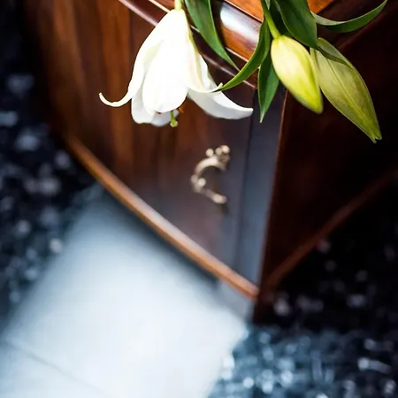 بيت ضيافة 5 Terre